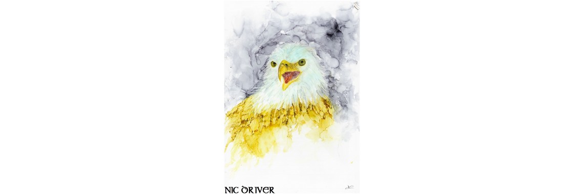 Nic Driver - Eagle