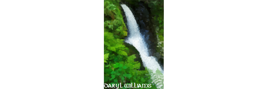 Daryl Williams - Poulanass Waterfall
