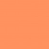 Bradán Feasa (Salmon) Alcohol Ink 15ml Bradán Feasa (Salmon) Alcohol Ink 15ml